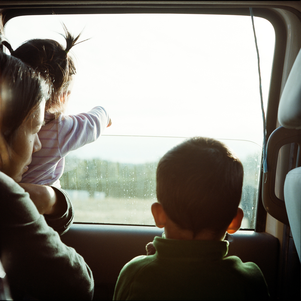 Kids watching the animals run by as we fed the cows by truck.
